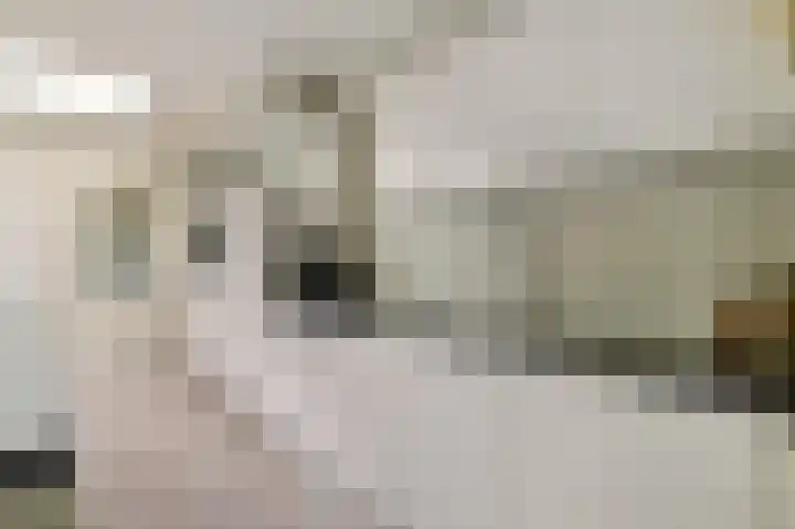 Hoornsehop 13 Huizen thumbnail 9