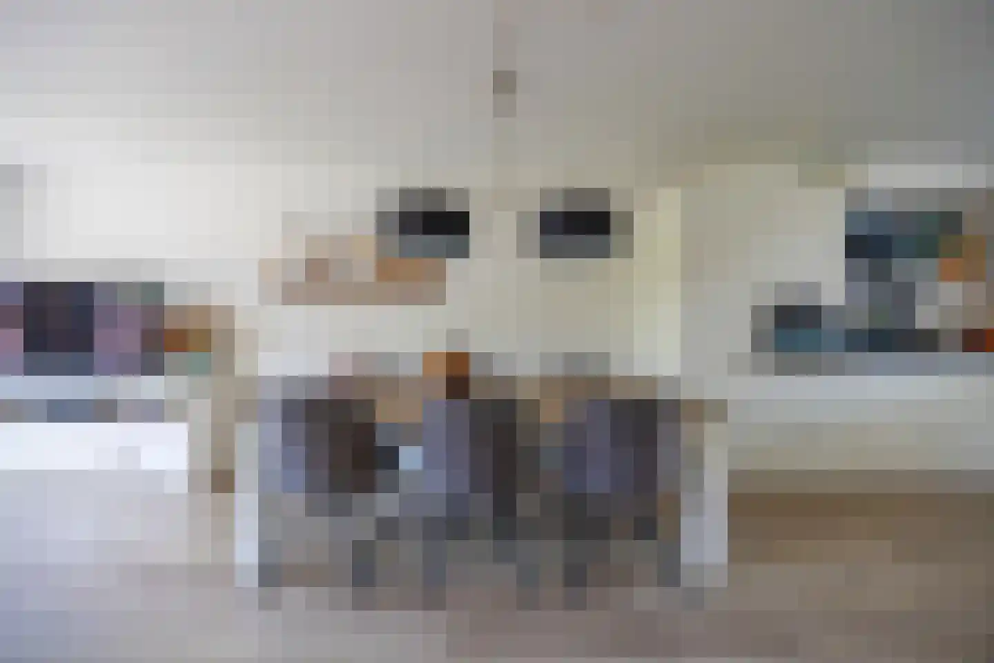 Hoornsehop 28 Huizen thumbnail 10