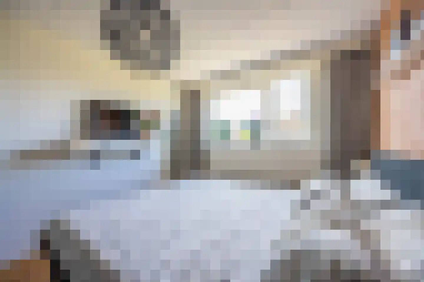 Hoornsehop 28 Huizen thumbnail 18