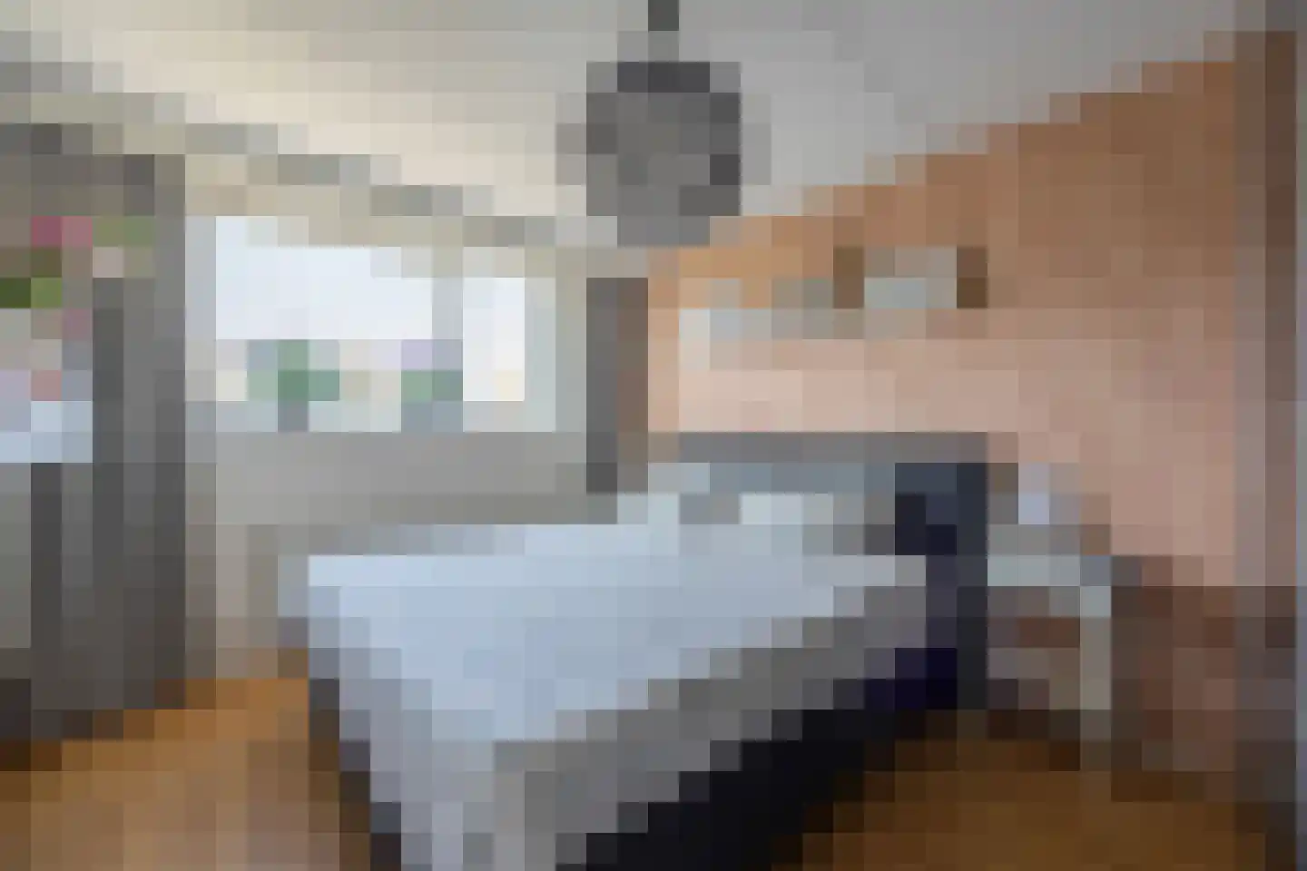 Hoornsehop 28 Huizen thumbnail 19