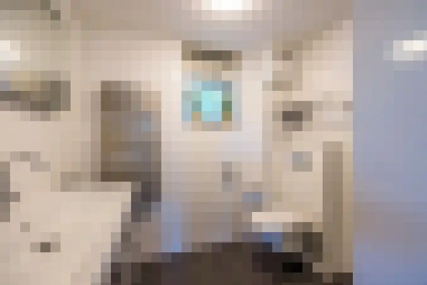 Hoornsehop 28 Huizen thumbnail 20