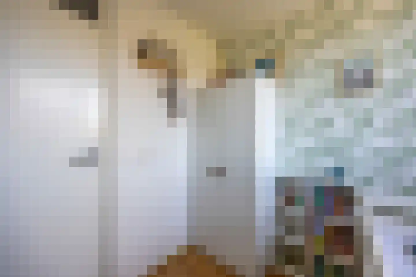 Hoornsehop 28 Huizen thumbnail 28