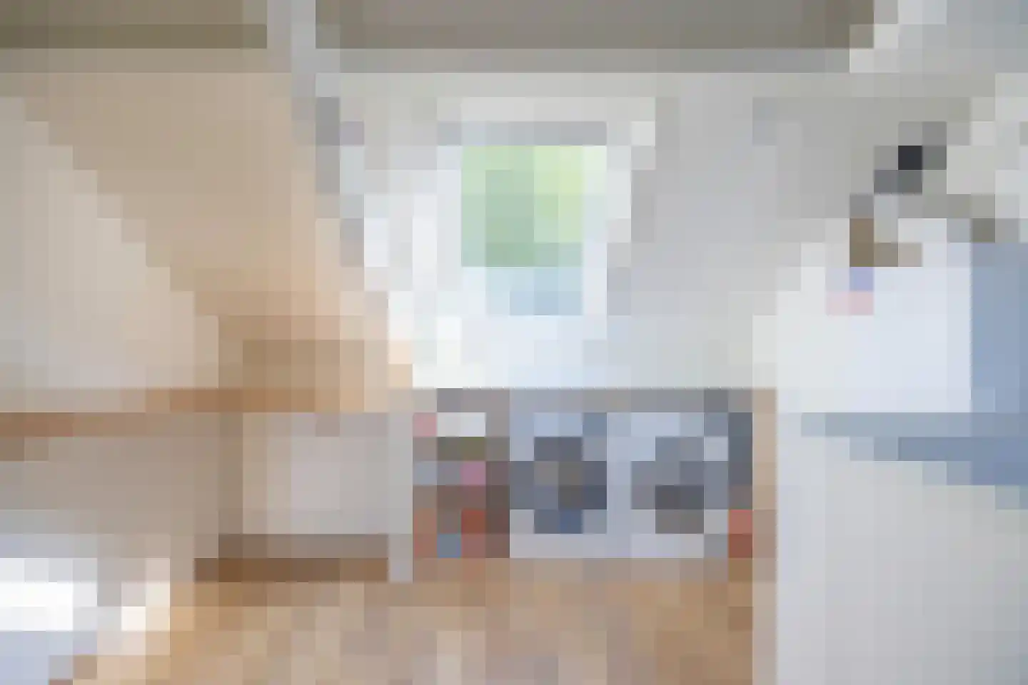 Hoornsehop 28 Huizen thumbnail 31