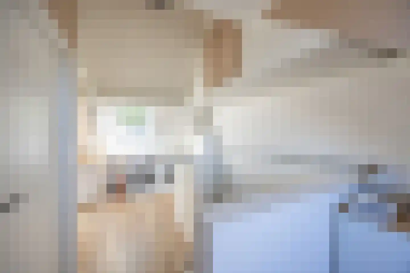 Hoornsehop 28 Huizen thumbnail 32