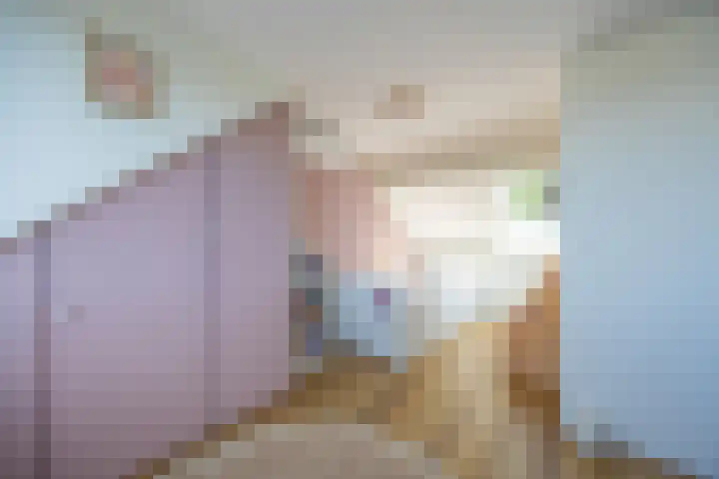 Hoornsehop 28 Huizen thumbnail 33