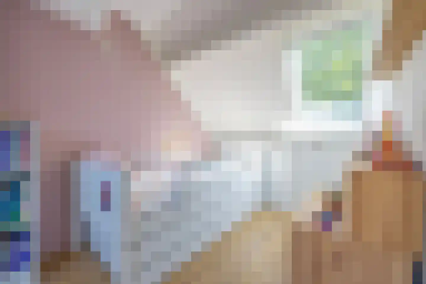 Hoornsehop 28 Huizen thumbnail 35