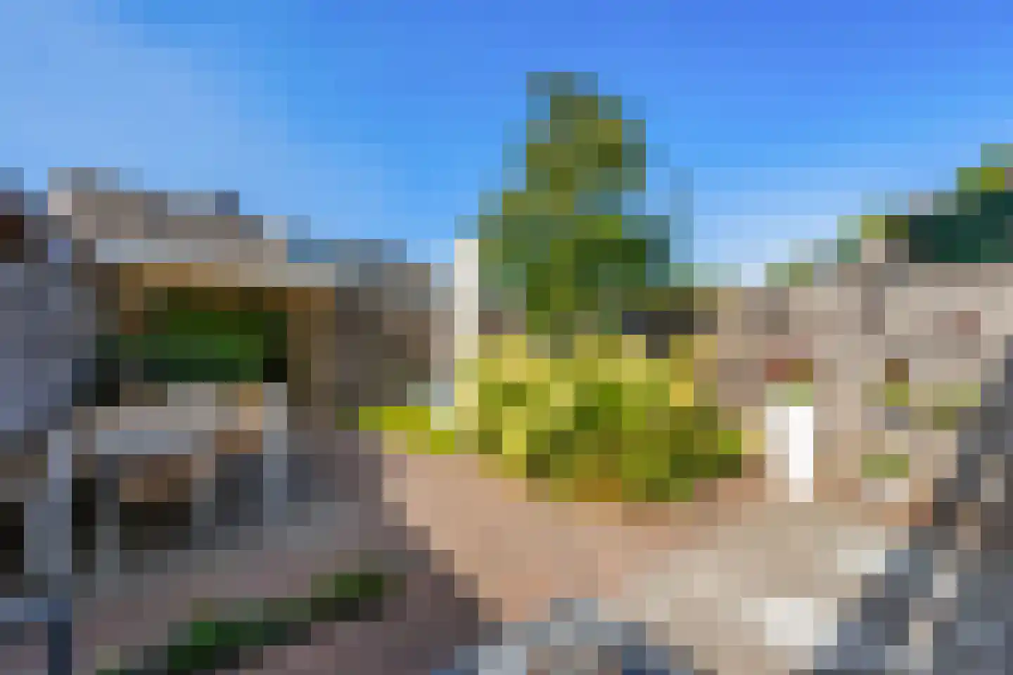 Hoornsehop 28 Huizen thumbnail 40