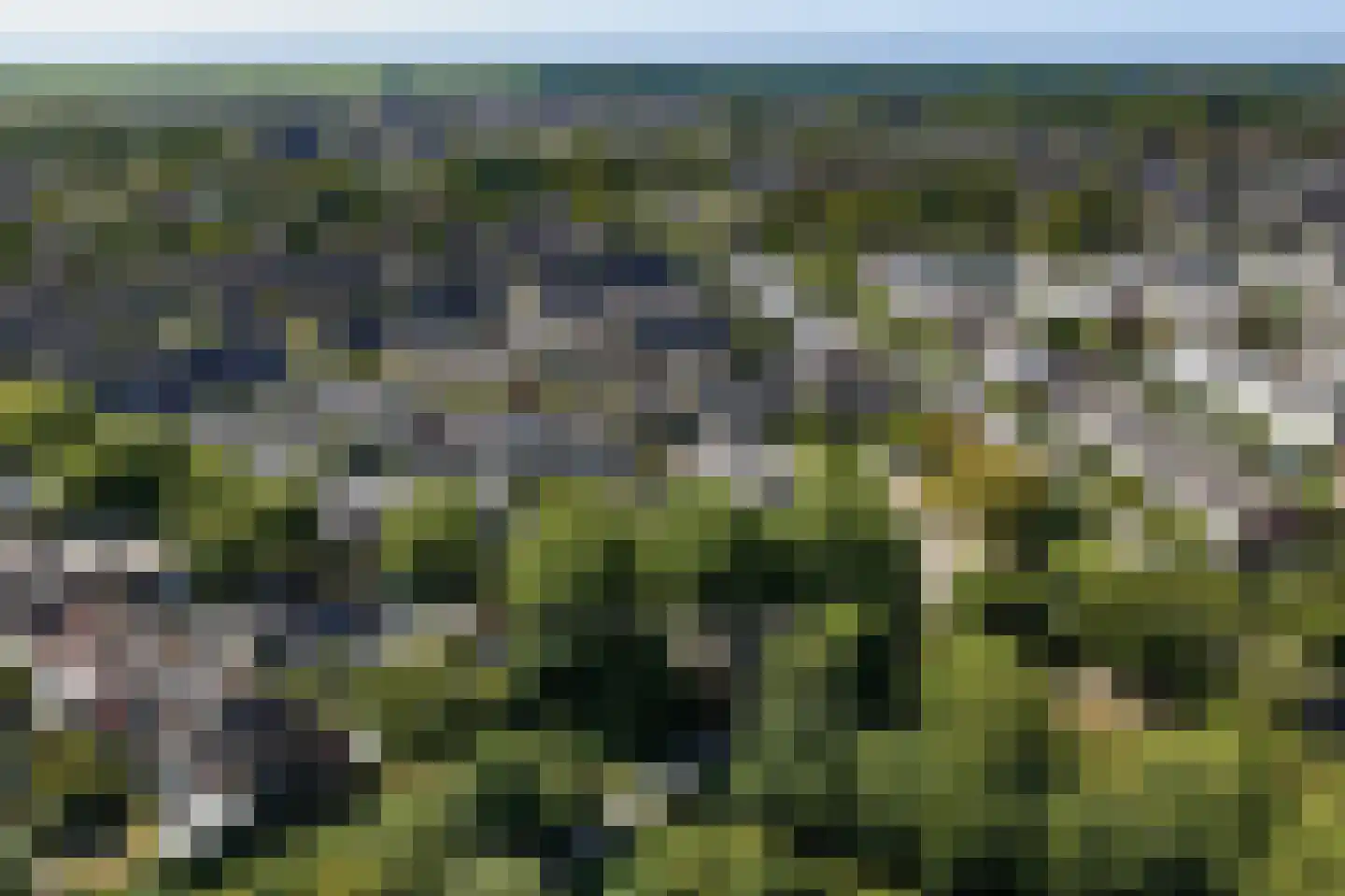 Hoornsehop 28 Huizen thumbnail 44