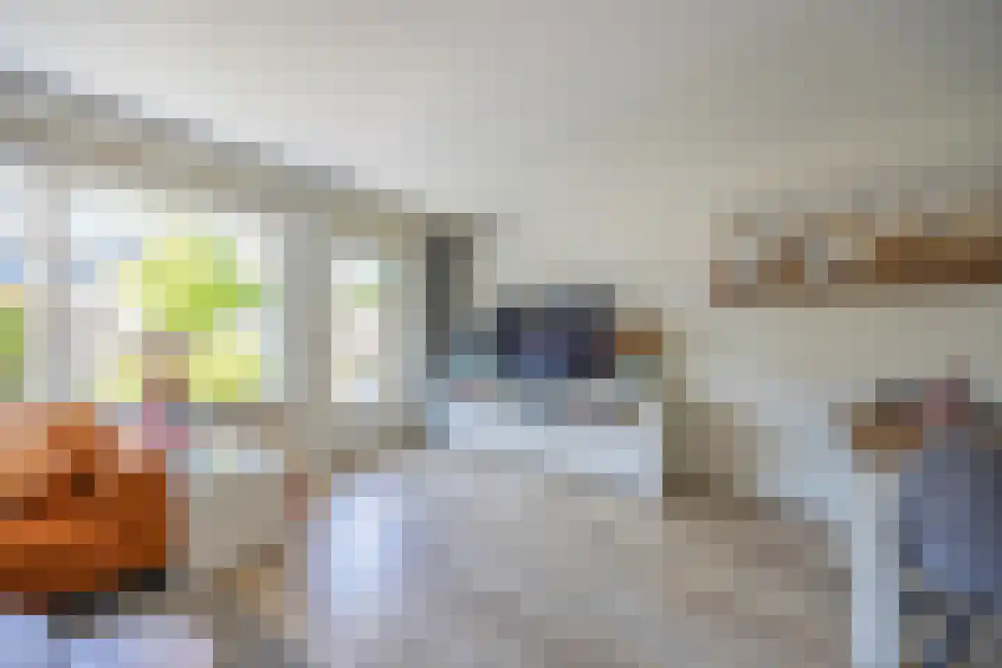 Hoornsehop 28 Huizen thumbnail 6