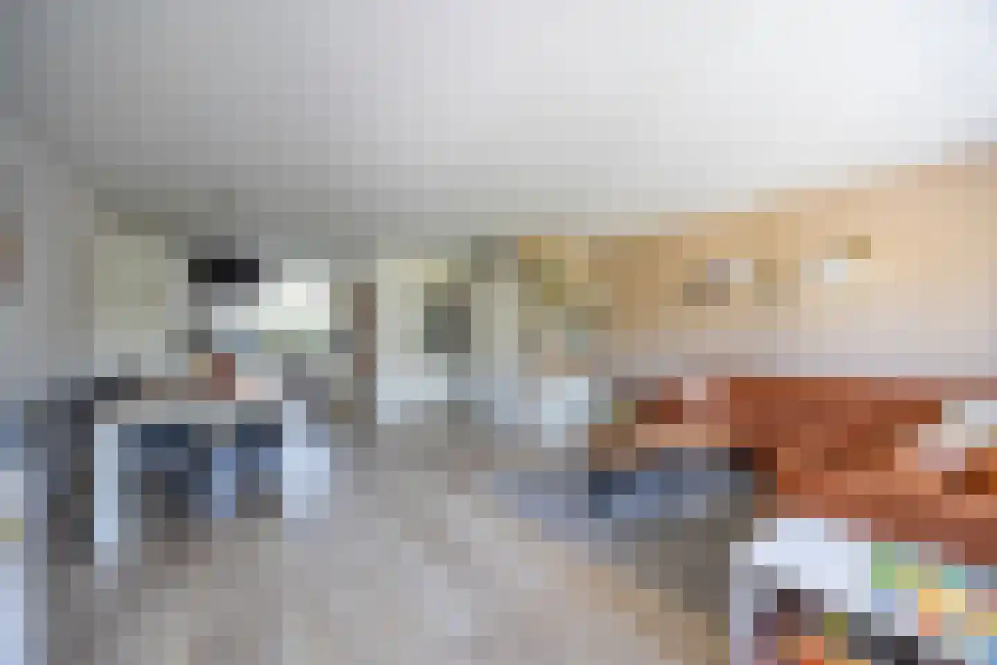 Hoornsehop 28 Huizen thumbnail 7
