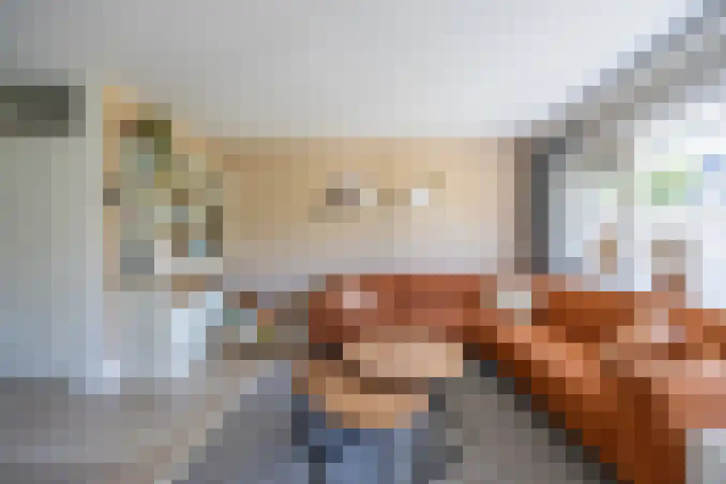 Hoornsehop 28 Huizen thumbnail 8