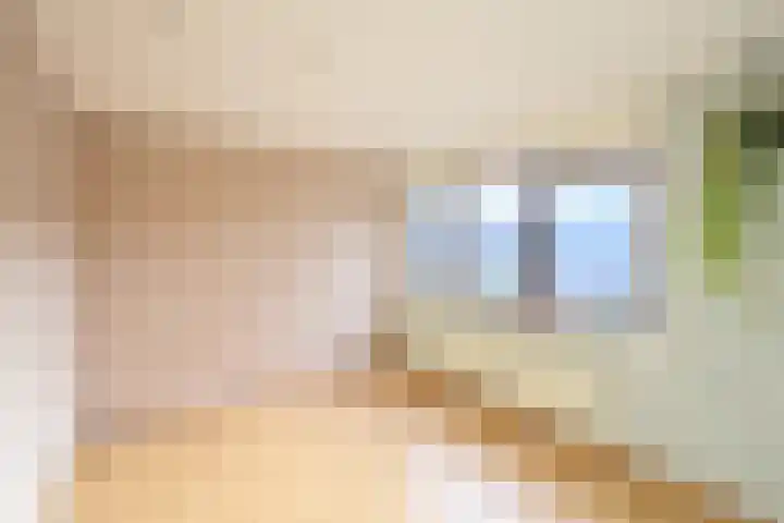 Hoornsehop 35 Huizen thumbnail 10