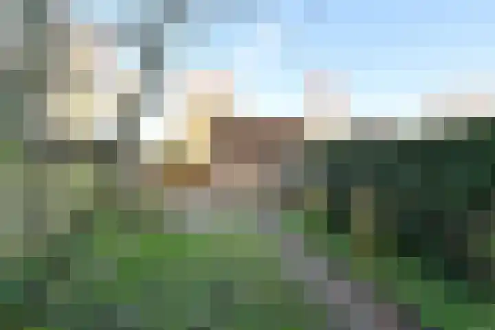 Hoornsehop 35 Huizen thumbnail 15