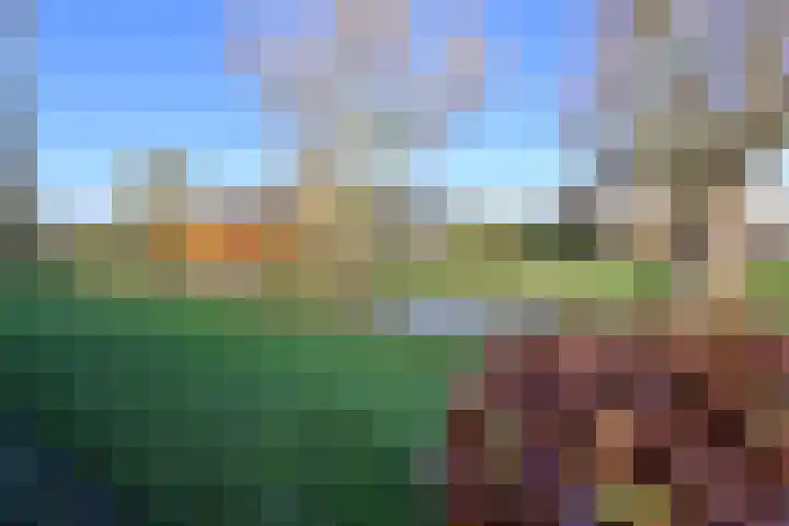 Hoornsehop 35 Huizen thumbnail 17