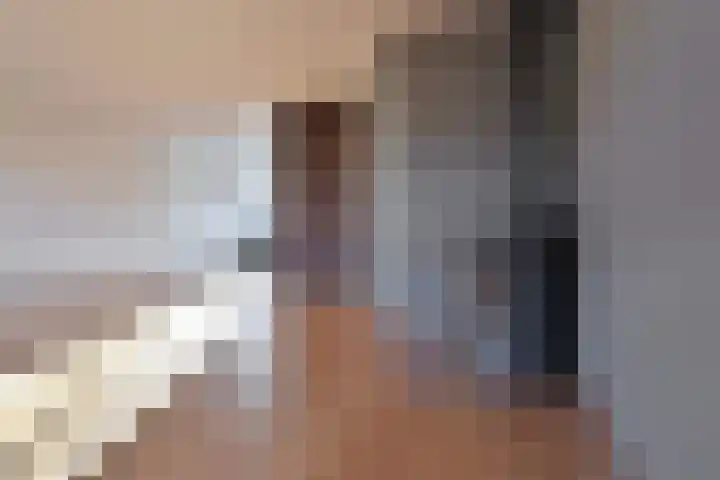 Hoornsehop 35 Huizen thumbnail 4