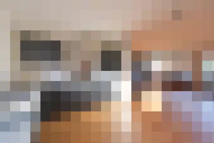 Hoornsehop 35 Huizen thumbnail 6