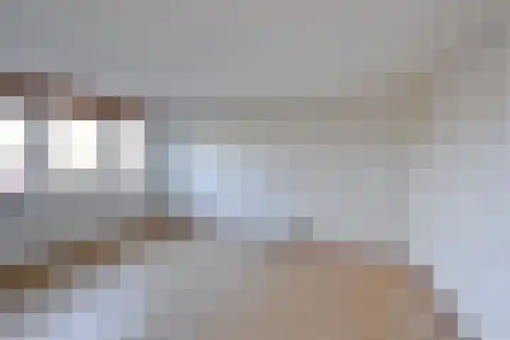 Hoornsehop 35 Huizen thumbnail 8