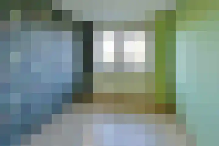 Hoornsehop 35 Huizen thumbnail 9