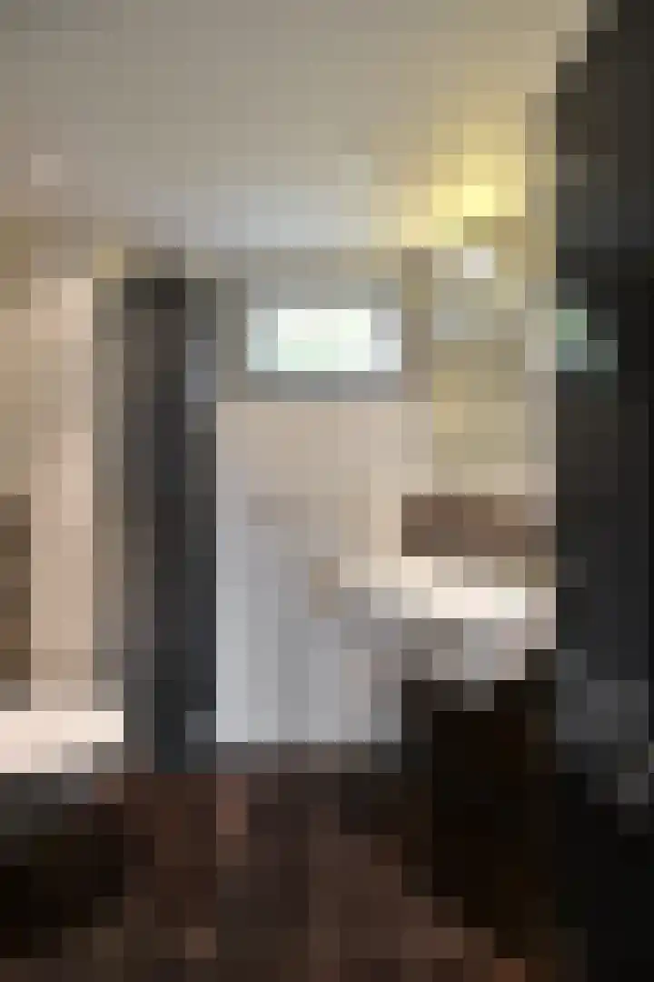 Hoornsehop 8 Huizen thumbnail 11
