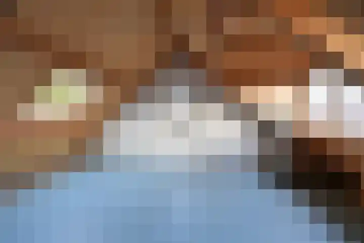 Hoornsehop 8 Huizen thumbnail 13
