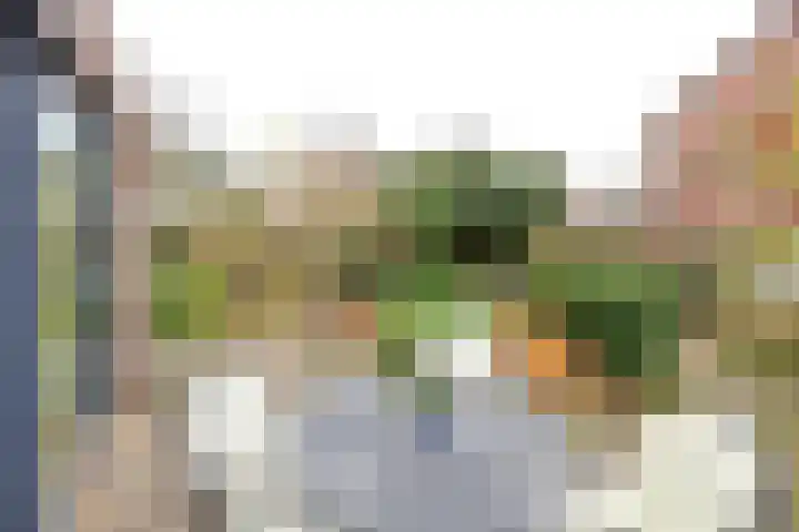 Hoornsehop 8 Huizen thumbnail 14