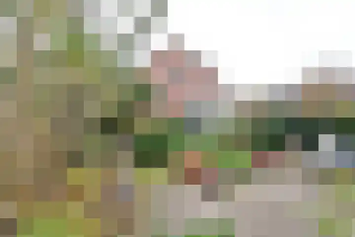 Hoornsehop 8 Huizen thumbnail 15