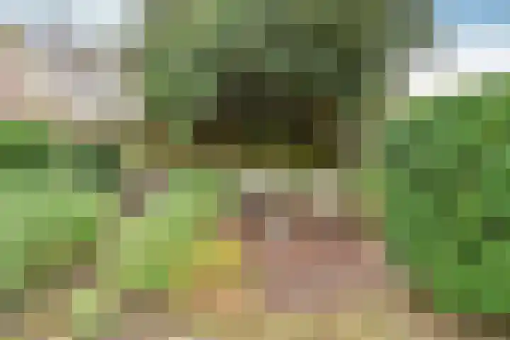 Hoornsehop 8 Huizen thumbnail 16
