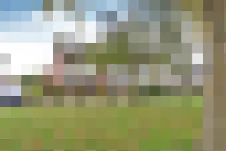 Hoornsehop 8 Huizen thumbnail 17