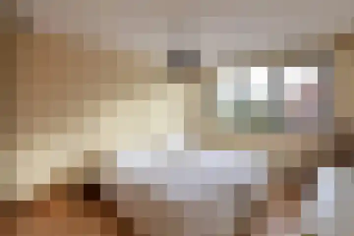 Hoornsehop 8 Huizen thumbnail 7