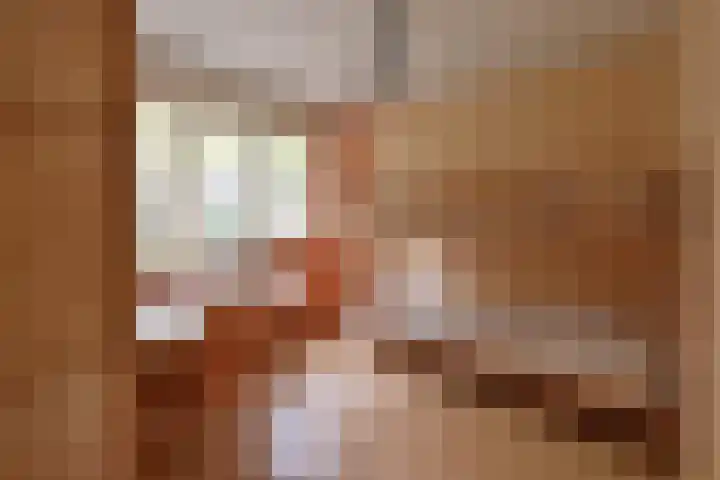 Hoornsehop 8 Huizen thumbnail 8