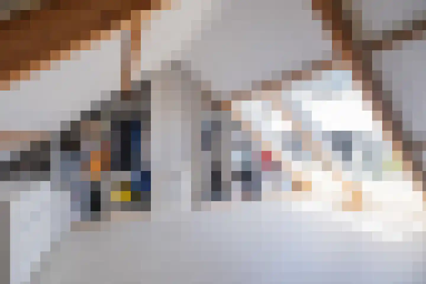 Hoornsekade 11 Alkmaar thumbnail 11