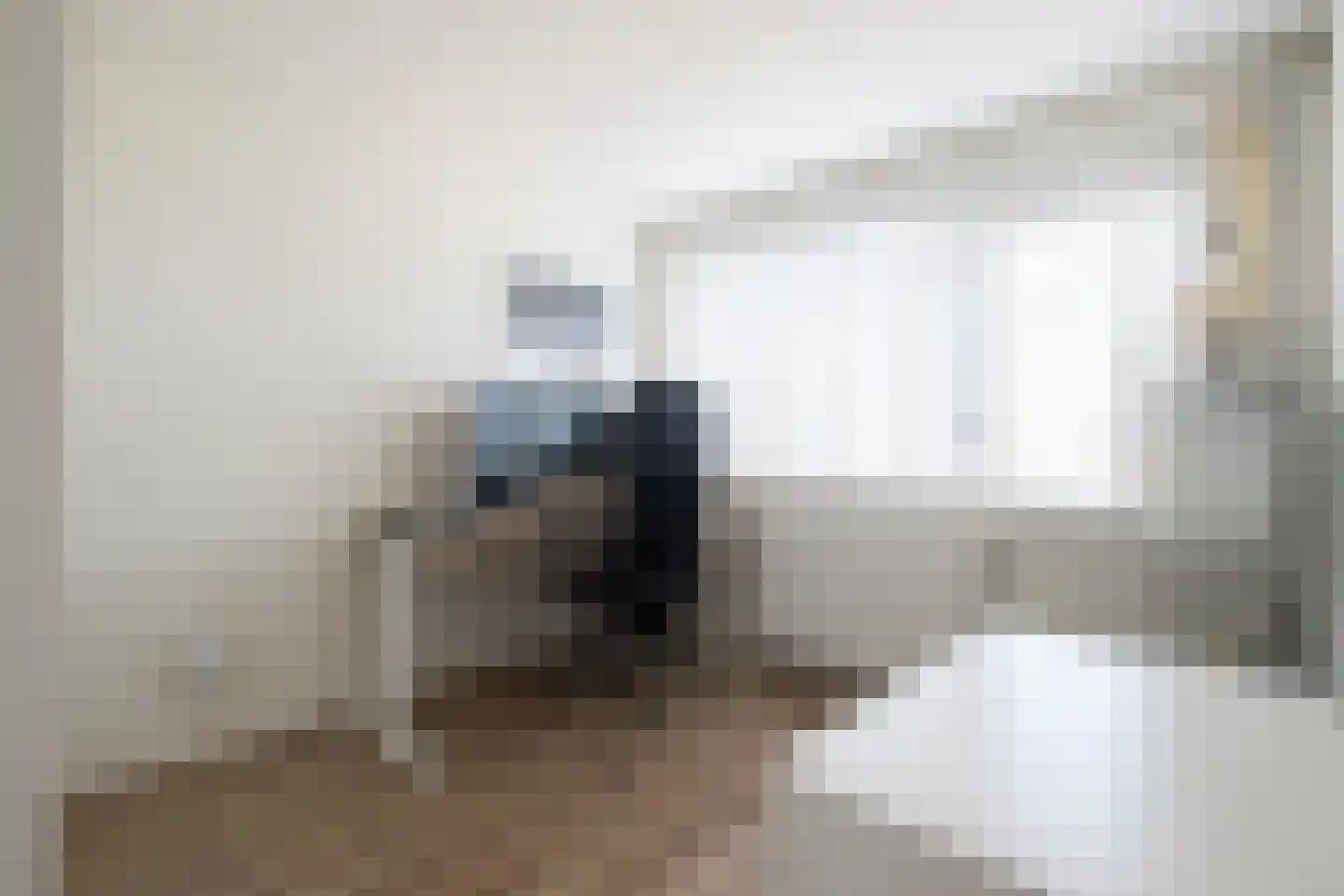 Hoornsekade 11 Alkmaar thumbnail 8