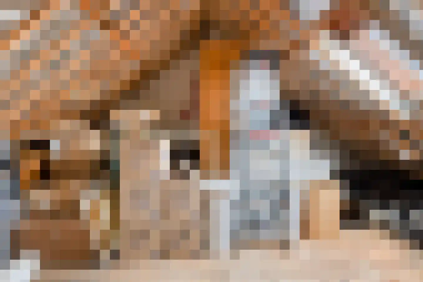 Hoornsekade 12 Alkmaar thumbnail 22