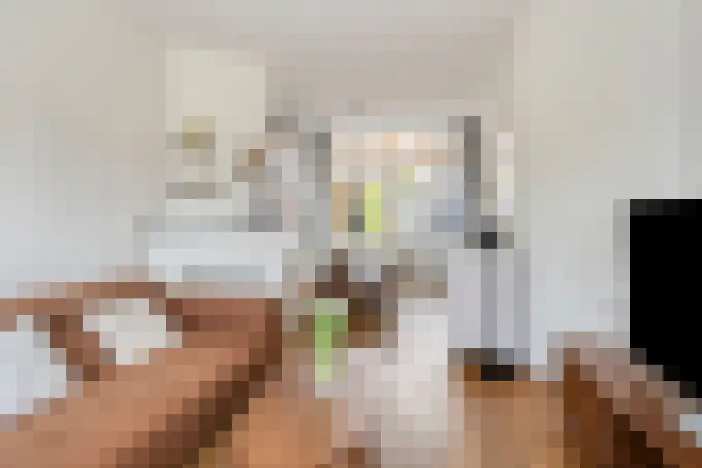 Hoornsekade 12 Alkmaar thumbnail 6