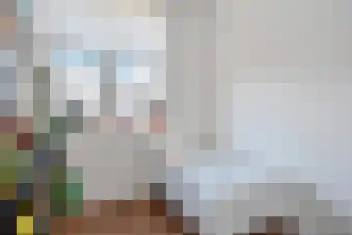 Hoornsemeer 15 Zoetermeer thumbnail 17