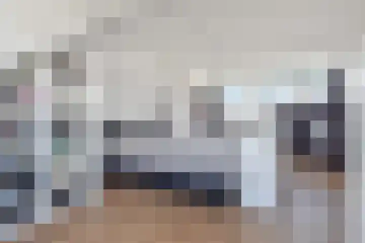 Hoornsemeer 15 Zoetermeer thumbnail 30