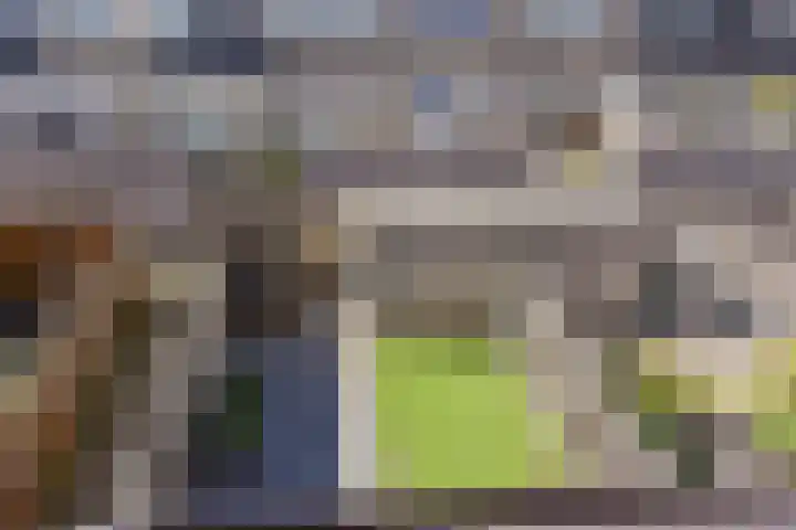 Hoornsemeer 15 Zoetermeer thumbnail 33