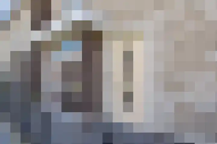 Hoornsemeer 15 Zoetermeer thumbnail 39