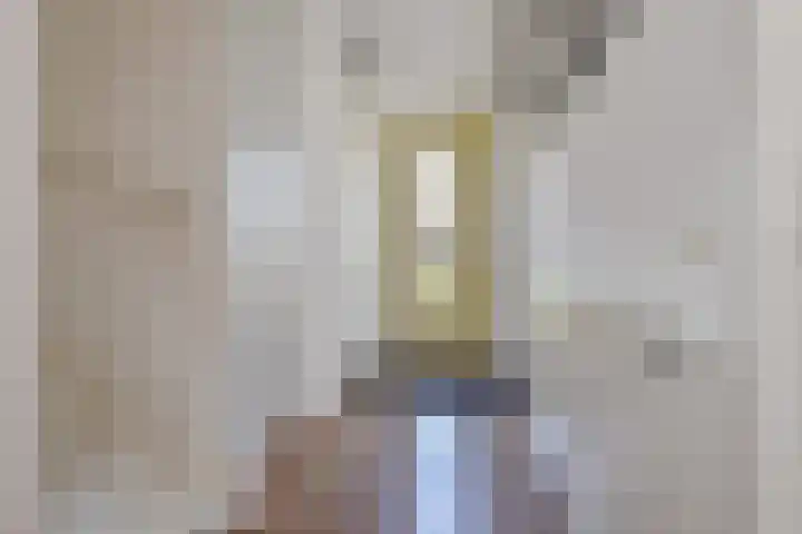 Hoornsemeer 15 Zoetermeer thumbnail 6