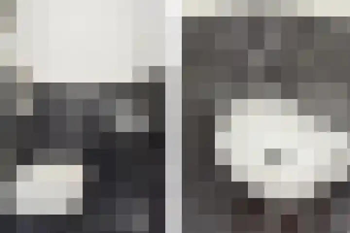 Hoornsemeer 15 Zoetermeer thumbnail 7