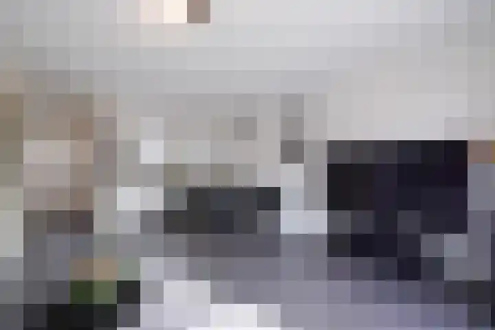 Hoornsemeer 29 Zoetermeer thumbnail 10