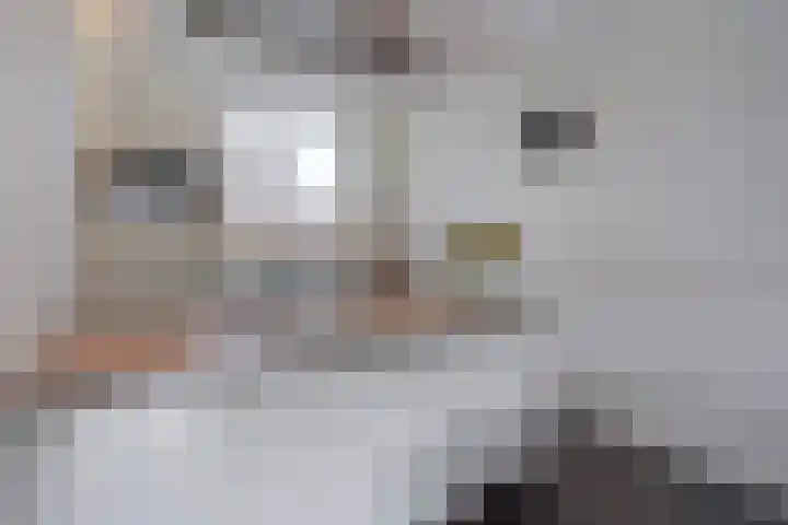 Hoornsemeer 29 Zoetermeer thumbnail 11