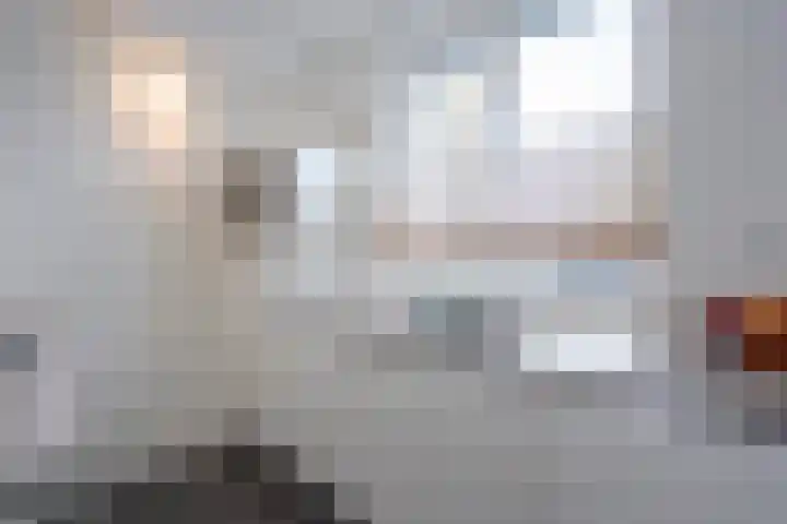 Hoornsemeer 29 Zoetermeer thumbnail 12