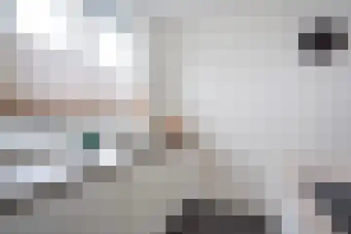 Hoornsemeer 29 Zoetermeer thumbnail 13