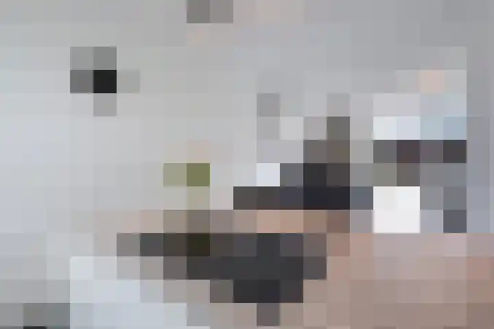 Hoornsemeer 29 Zoetermeer thumbnail 14