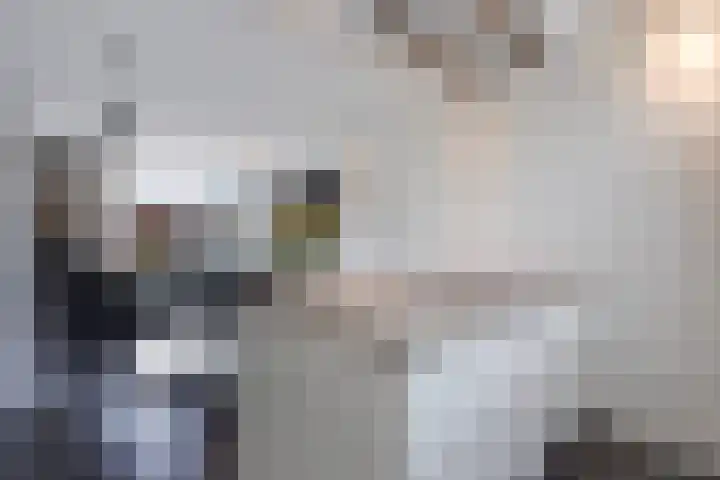Hoornsemeer 29 Zoetermeer thumbnail 15