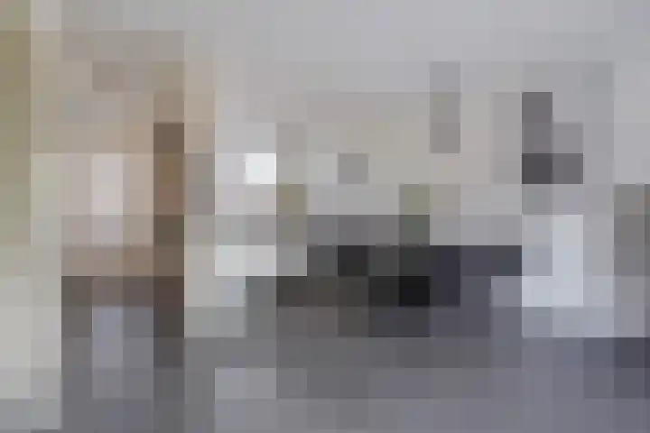 Hoornsemeer 29 Zoetermeer thumbnail 16