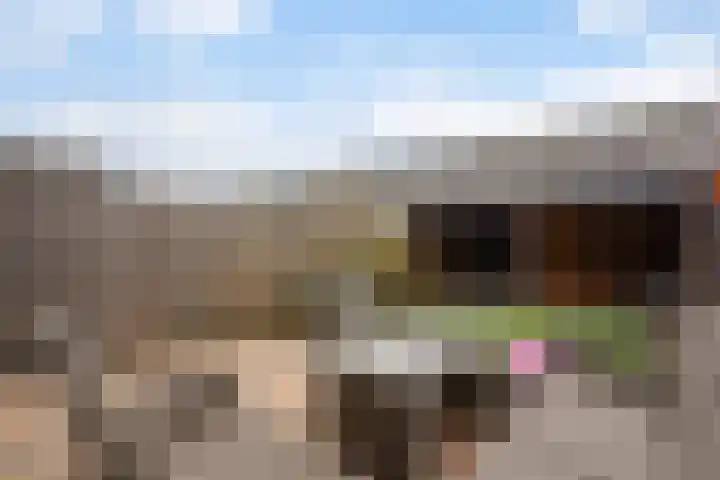 Hoornsemeer 29 Zoetermeer thumbnail 17
