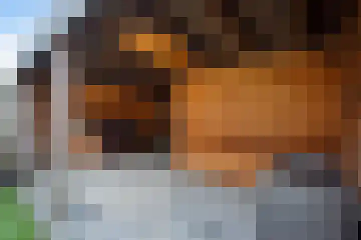 Hoornsemeer 29 Zoetermeer thumbnail 19