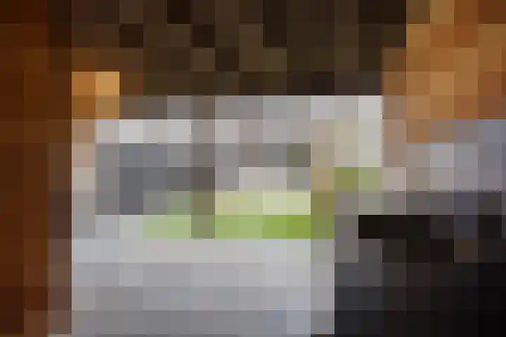 Hoornsemeer 29 Zoetermeer thumbnail 21